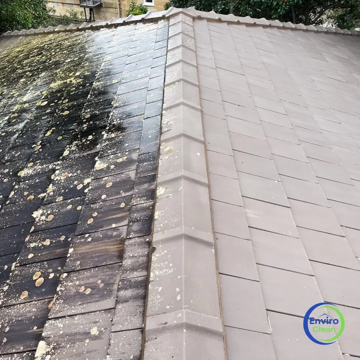 Flat concrete tile roof part-way through cleaning: the left side still black with lichen, the right side clean.